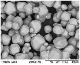 The Influence of the Dispersion Coefficient of Phosphor Physical Characteristics on the Cold-to-Heat Ratio of WLED Light Output