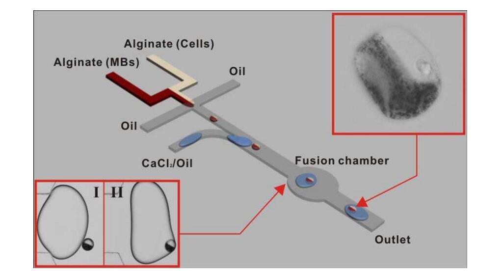 How to understand the working principle of microfluidic chip