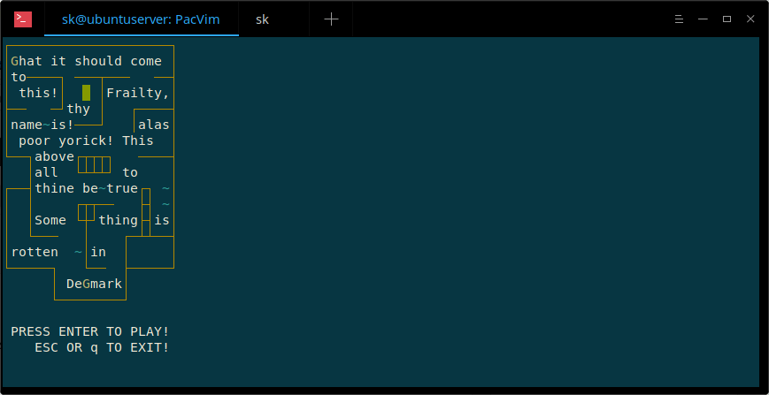 How to install and use PacVim in Linux?