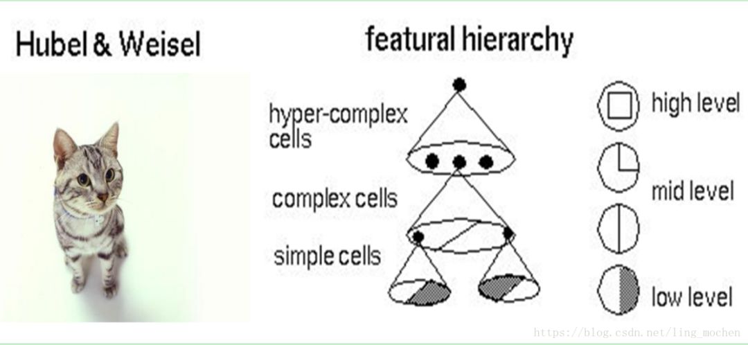 The approximate introduction of machine learning enables even a person who does not understand machine learning to understand machine learning.