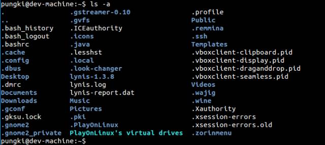 On ls command in Linux (analysis of 20 practical examples)