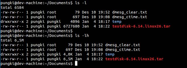 On ls command in Linux (analysis of 20 practical examples)