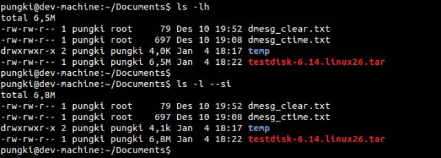 On ls command in Linux (analysis of 20 practical examples)