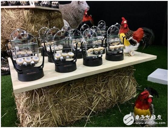 Gao Xinxing IoT and Jingdong: Will reach deep strategic cooperation in the field of agricultural Internet of Things