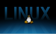 How can the security of the Linux system be improved? These eight big tricks tell you!