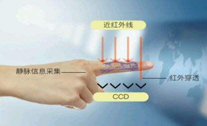 Analysis of the Process Architecture and Technical Features of Finger Vein System Recognition