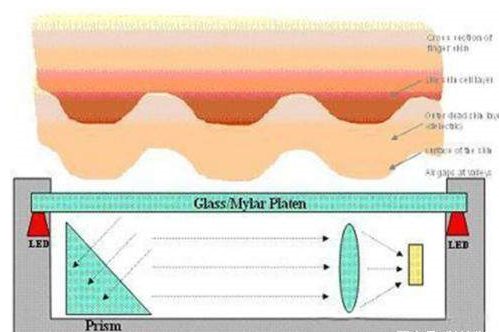 Detailed explanation of three technical solutions for fingerprint recognition