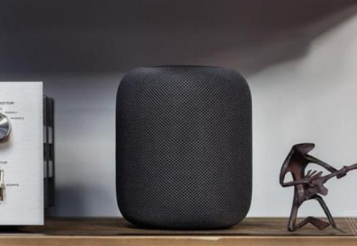 The fire of smart speakers has allowed the artificial intelligence chip manufacturers that have been silent for many years to taste the long-lost sweetness