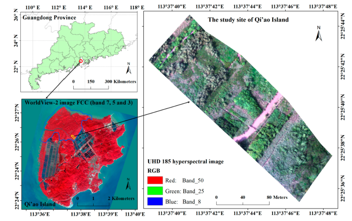 Classification of mangrove species based on S185 airborne hyperspectral and DSM data