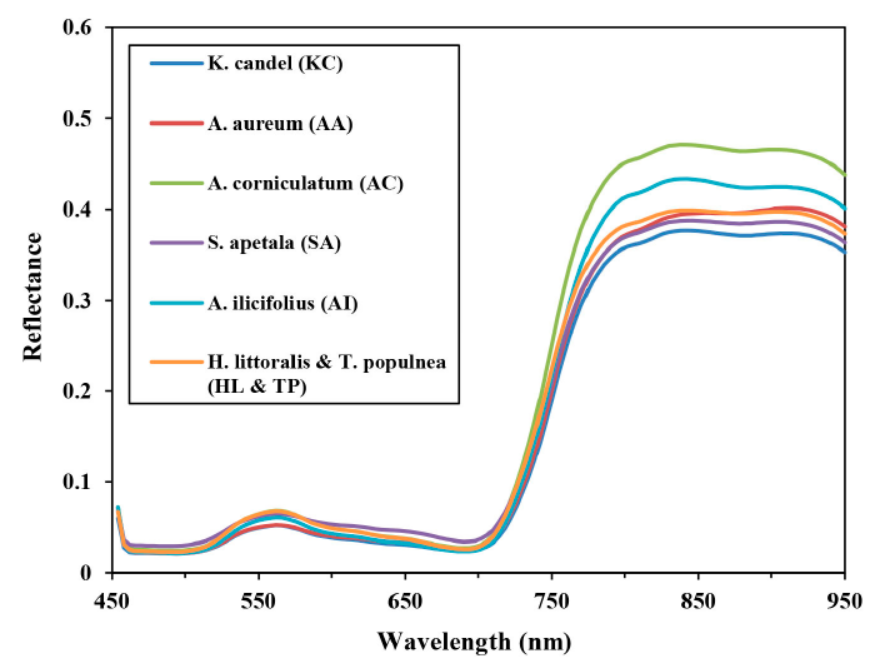 Classification of mangrove species based on S185 airborne hyperspectral and DSM data