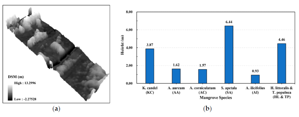 Classification of mangrove species based on S185 airborne hyperspectral and DSM data