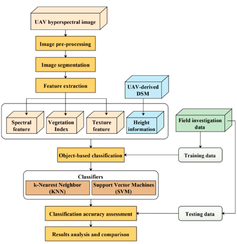 Classification of mangrove species based on S185 airborne hyperspectral and DSM data