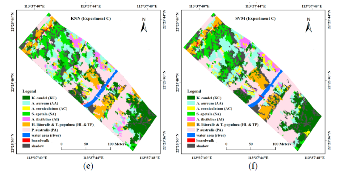 Classification of mangrove species based on S185 airborne hyperspectral and DSM data