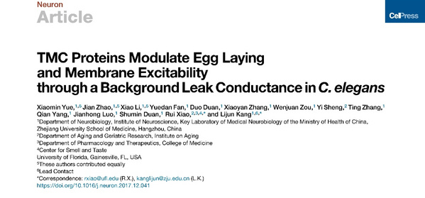 Hold live cell excitability! A new breakthrough in the mechanism of the gene