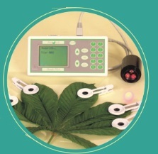 Application of rapid chlorophyll fluorescence induction kinetics photosynthesis