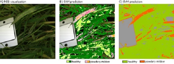 Detection of Plant Phenotype Diseases by Handheld Hyperspectral Camera