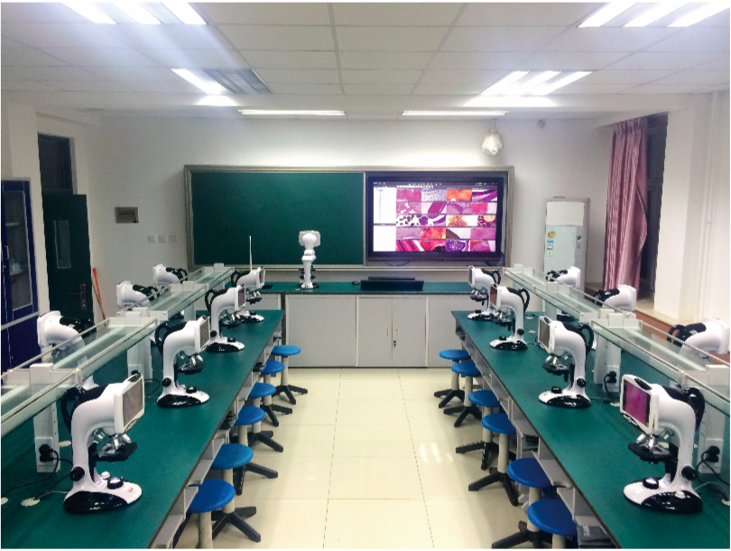 Beijing Zhongguancun Middle School Bio-Interaction Lab Case Introduction