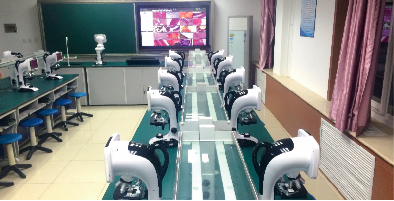 Beijing Zhongguancun Middle School Bio-Interaction Lab Case Introduction