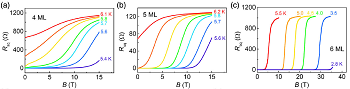 Quantum Design from quantum design to design quantum