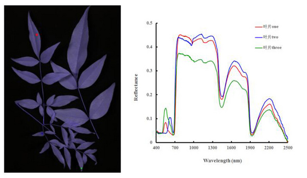 Introduction and Application of Hyperspectral Remote Sensing Technology