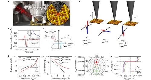 Ultra-fast terahertz scanning tunneling microscope (THz-STM)