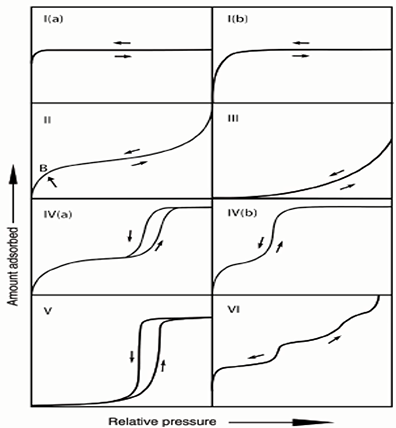 Interpretation of Gas Physics Adsorption Isotherms of "Mike Lecture Hall"