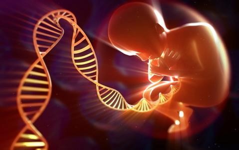 2016 China's gene sequencing industry development status and business layout analysis (graphic)