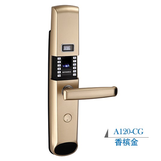 Think song fingerprint lock - SINGEA-A120-CG, fingerprint door lock manufacturer