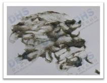 Grinding Fish - Step 4 323 242 Framed - Watermarked.jpg