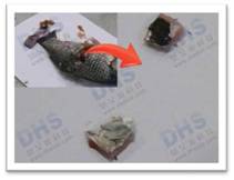 Grinding Fish - Step 1 323 242 Framed - Watermarked.jpg
