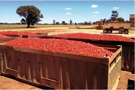 RFID, RFID, food, picking