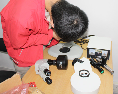 Stereoscopic fluorescence microscope