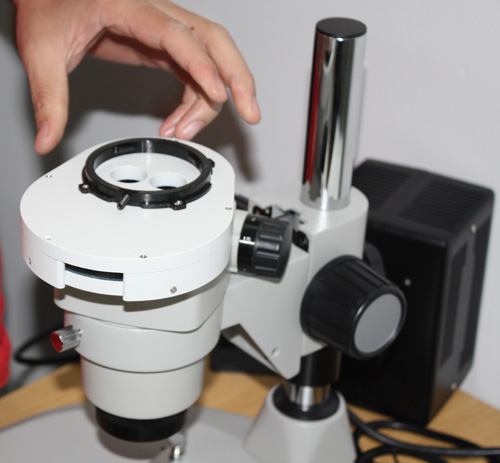 Stereoscopic fluorescence microscope