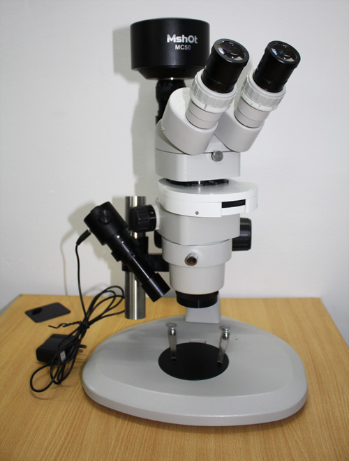 Stereoscopic fluorescence microscope