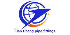 CangxianTiancheng Pipe Fittings Co., Ltd.