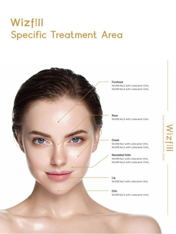Best Selling Korea Hyaluronic Ha Dermal Filler CE Marked Wizfill No. 1.2.3 supplier