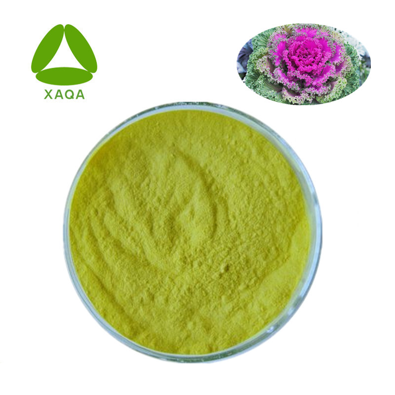Extrait de chou frisé Kale Extract