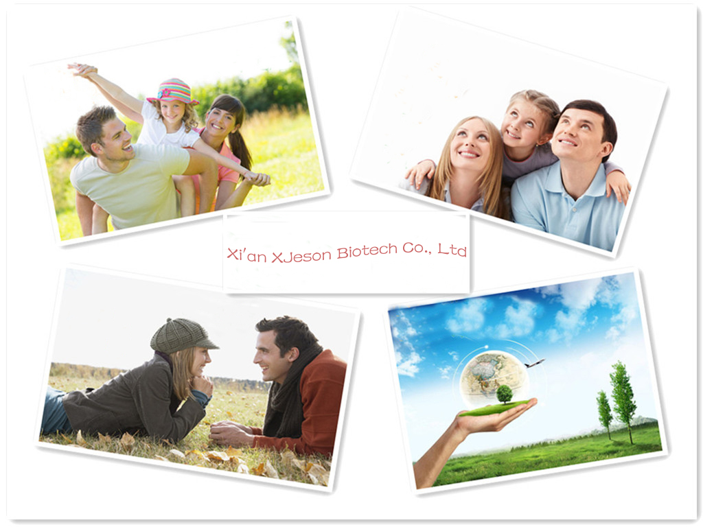 Herbal Extract Herbal Extract