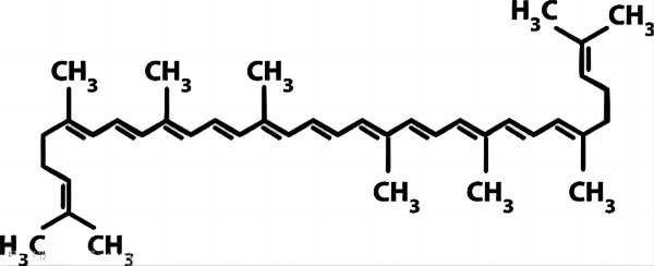 Tomato extract Lycopene Tomato extract Lycopene
