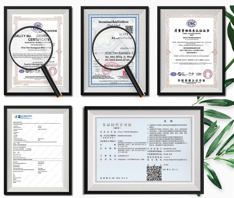 Propitocaine Hydrochloride Propitocaine Hydrochloride