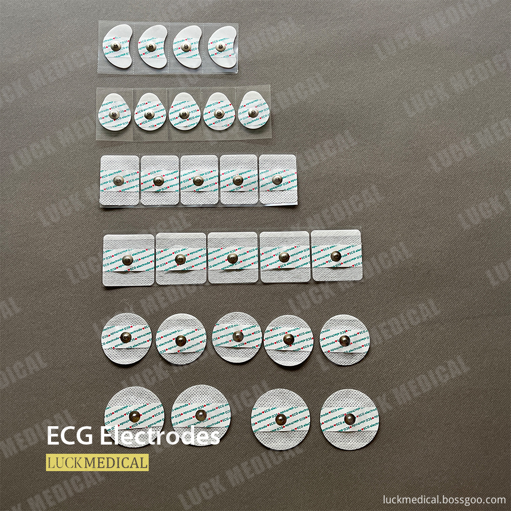 Ecg Electrodes 13 Ecg Electrodes 13
