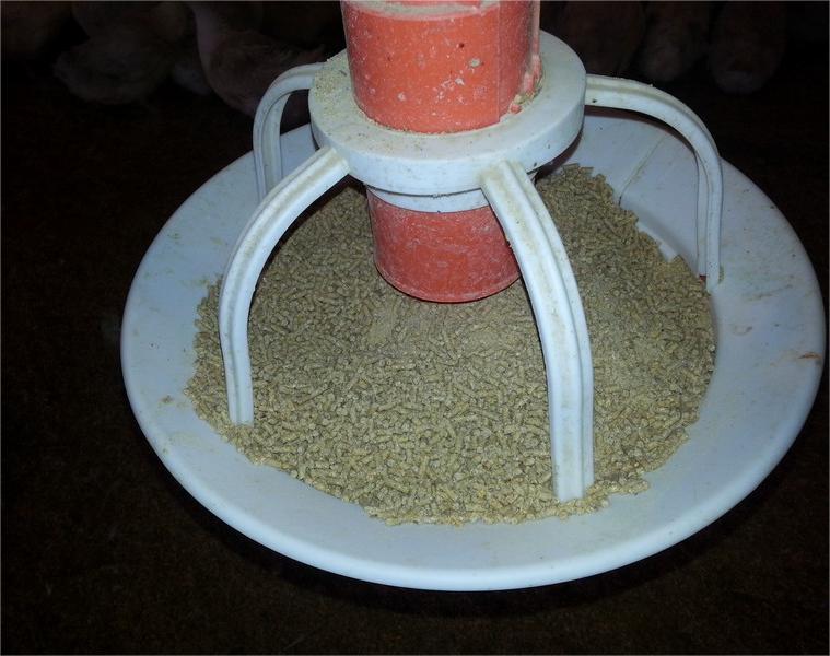 Poultry Pan Feeding System Poultry Pan Feeding System