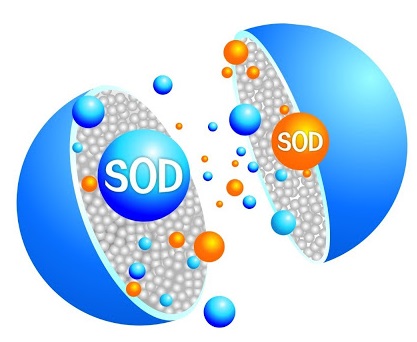 Superoxide Dismutase Powder SOD CAS 9054-89-1 Superoxide Dismutase Powder SOD CAS 9054-89-1