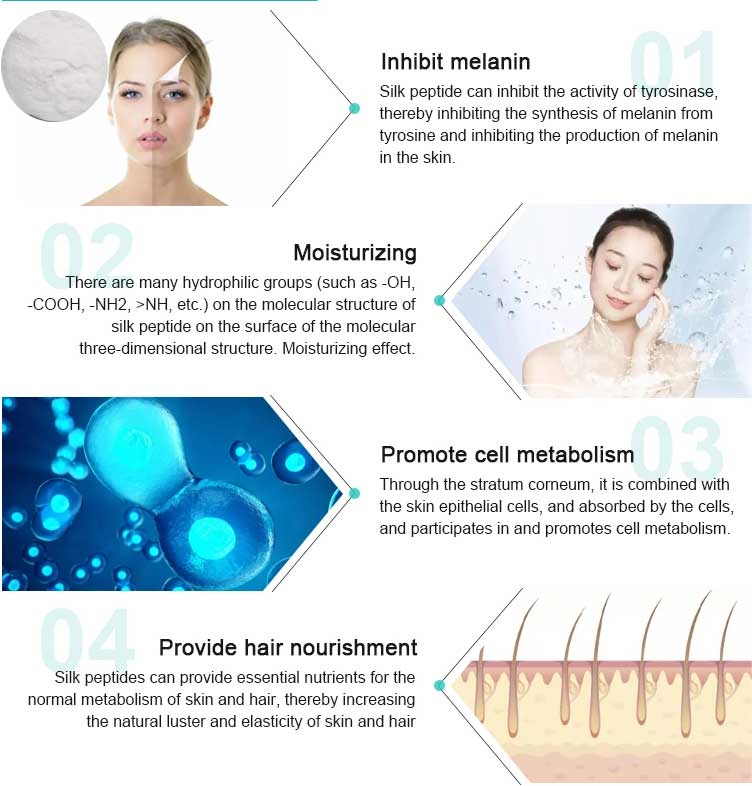 Silk-Protein-powder Silk-Protein-powder