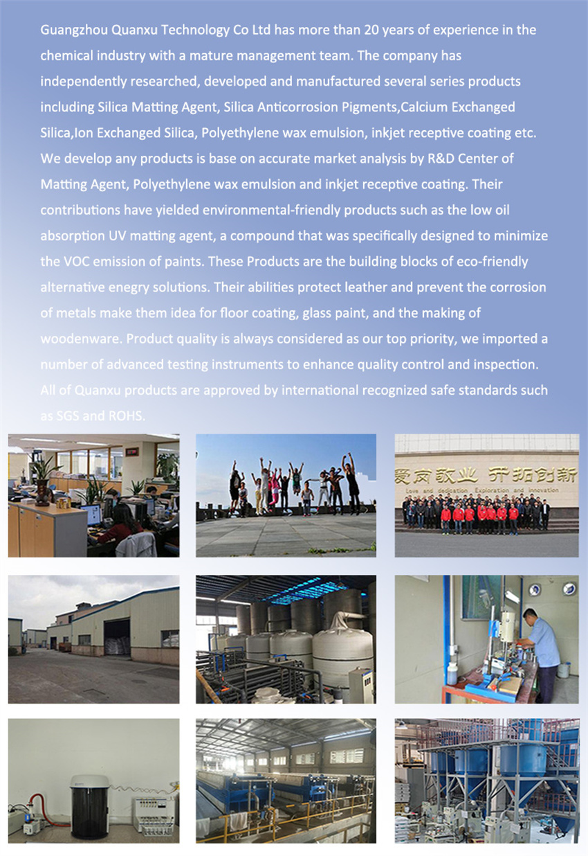 P Company Profile W P P Company Profile W P