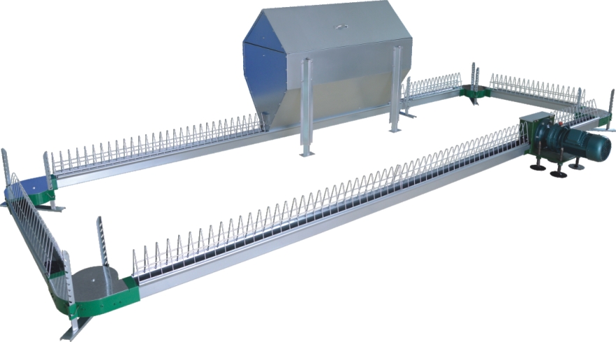 Poultry chain feeding system Poultry chain feeding system