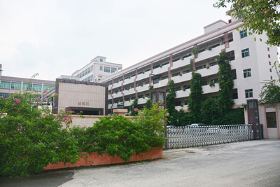 Freda Underwear Production Factory