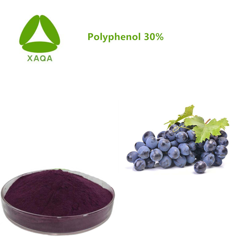 Grape Peel Extract Polyphenol Grape Peel Extract Polyphenol