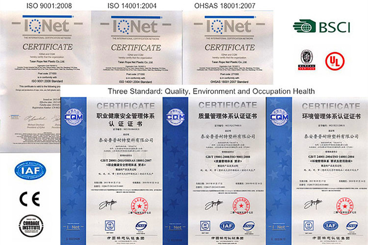 ROPENET GROUP CO.,LTD