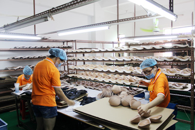 Freda Underwear Production Factory